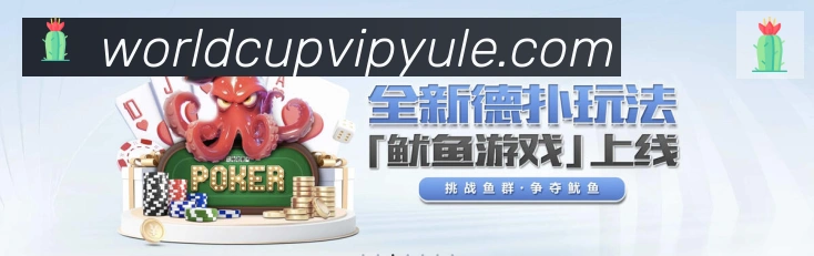 未来规划