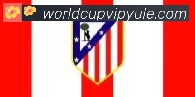 FIFA世界杯买球官方网站合作伙伴